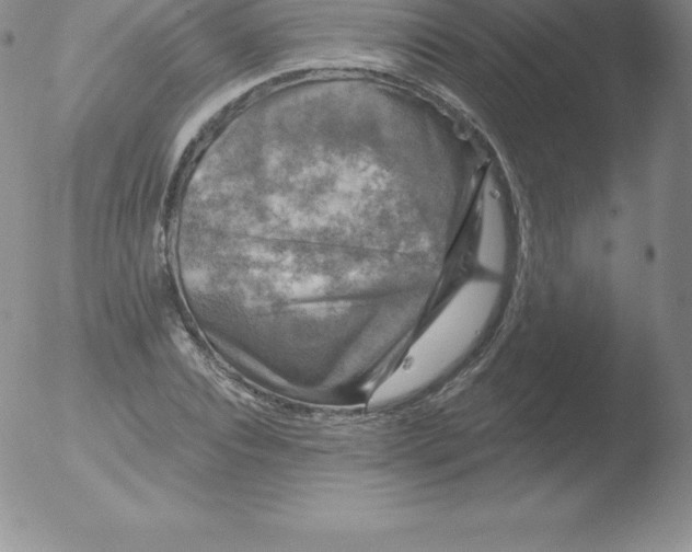 X0000051890928200507081935