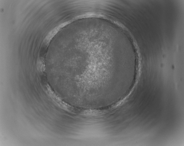 X0000051890929200507081935