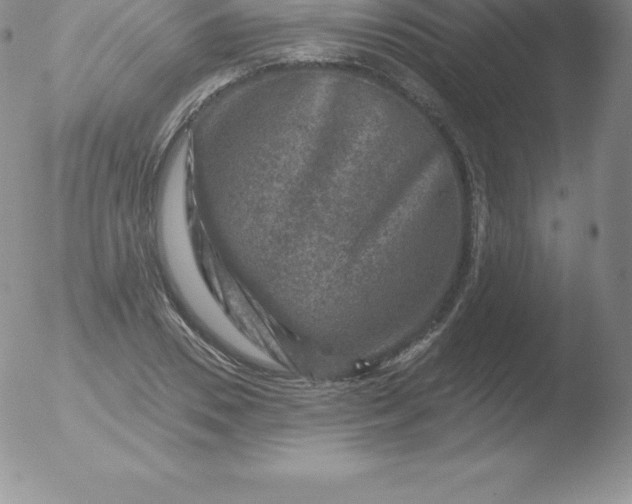 X0000051890930200507081935