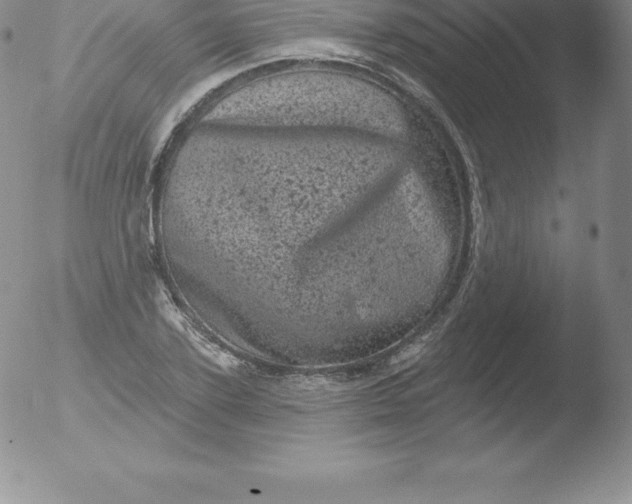 X0000051890931200507081935