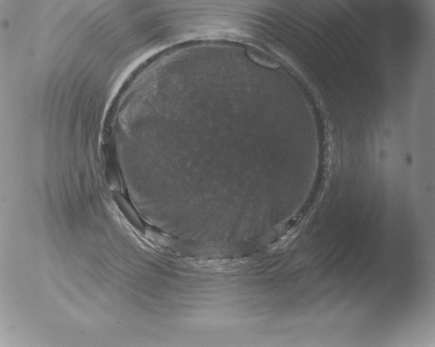 X0000051890932200507081935