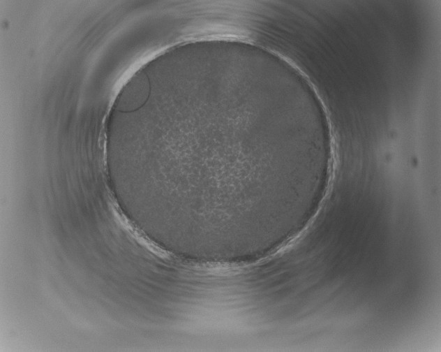 X0000051890933200507081935