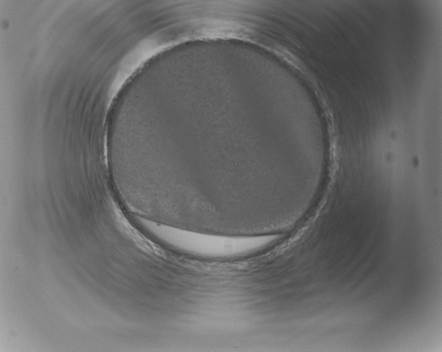 X0000051890934200507081935