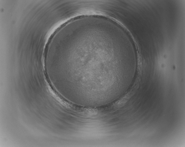 X0000051890935200507081935