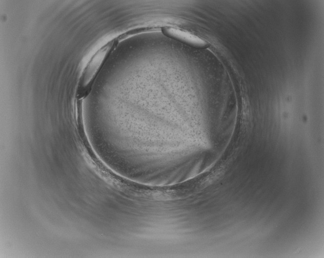 X0000051890936200507081935