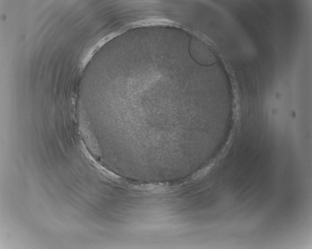 X0000051890937200507081935