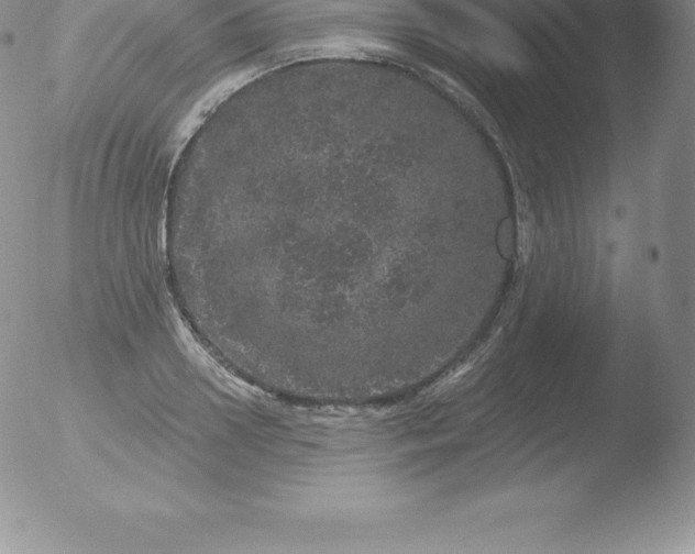 X0000051890938200507081935