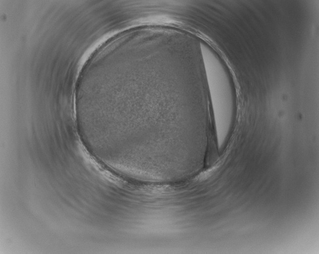 X0000051890939200507081935