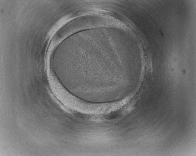 X0000051890940200507081935