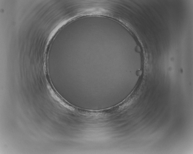 X0000051890941200507081935