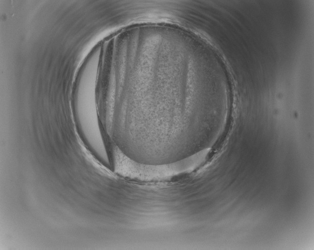 X0000051890942200507081935