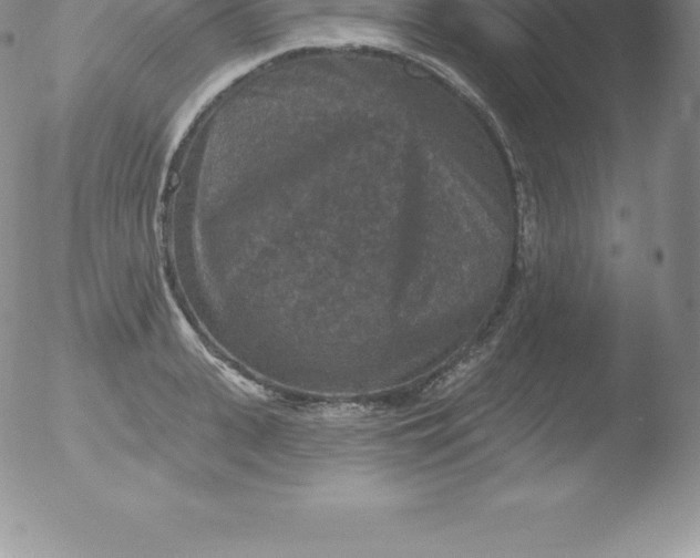 X0000051890943200507081935