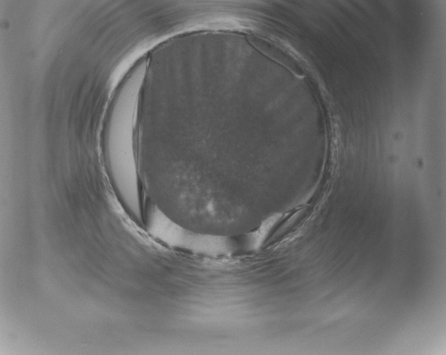 X0000051890944200507081935