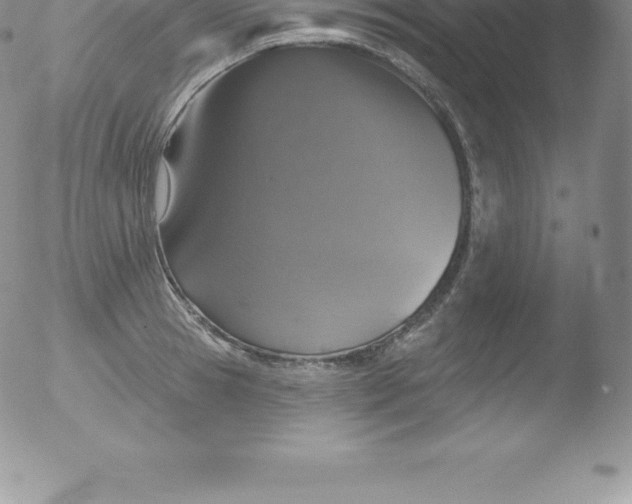 X0000051890945200507081935