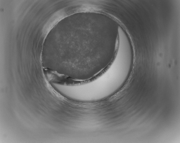 X0000051890946200507081935