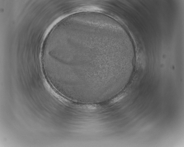 X0000051890947200507081935