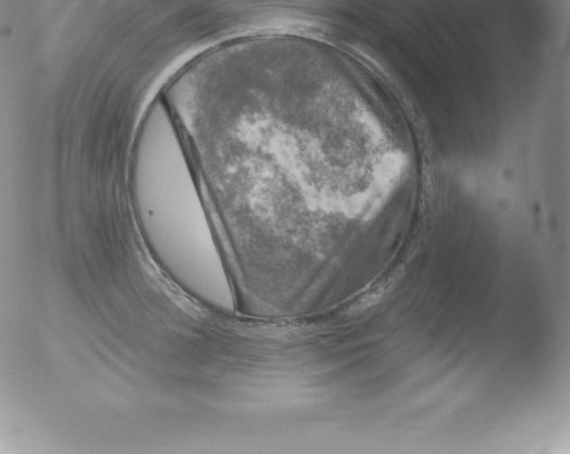 X0000051890948200507081935