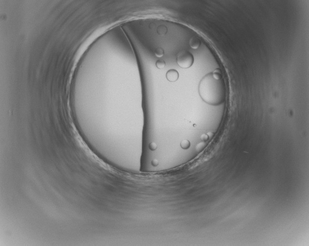 X0000051890949200507081935