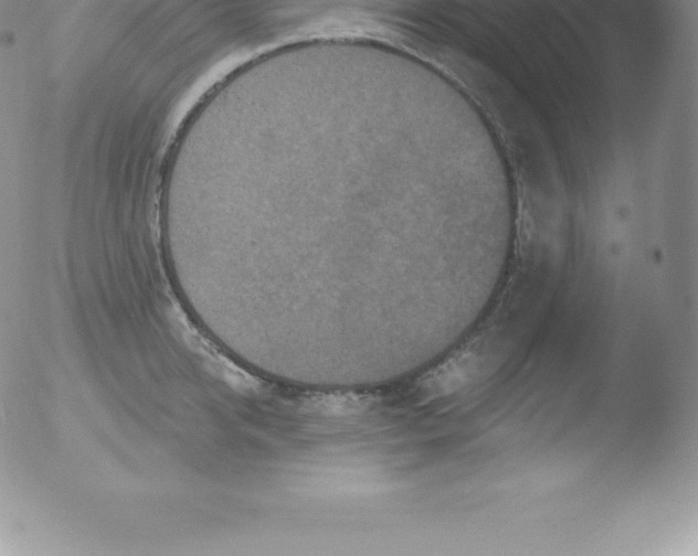 X0000051890950200507081935