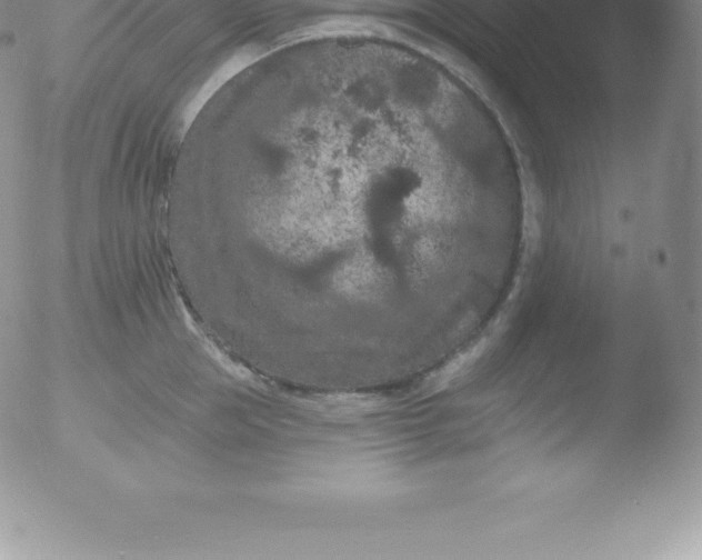 X0000051890953200507081935