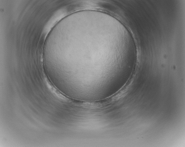 X0000051890954200507081935