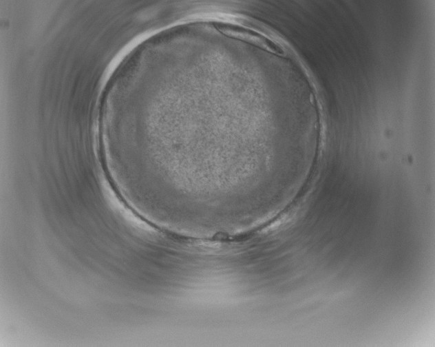 X0000051890955200507081935