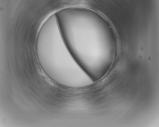 X0000051890956200507081935