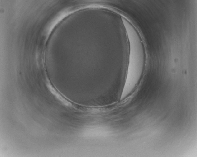 X0000051890958200507081935