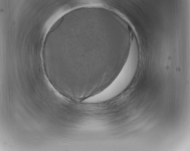 X0000051890959200507081935