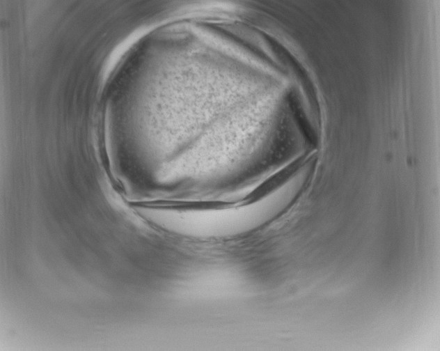 X0000051890960200507081935