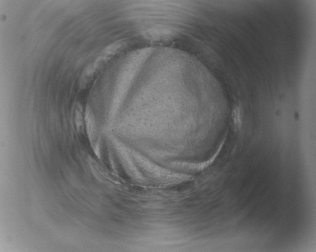 X0000051890963200507081935