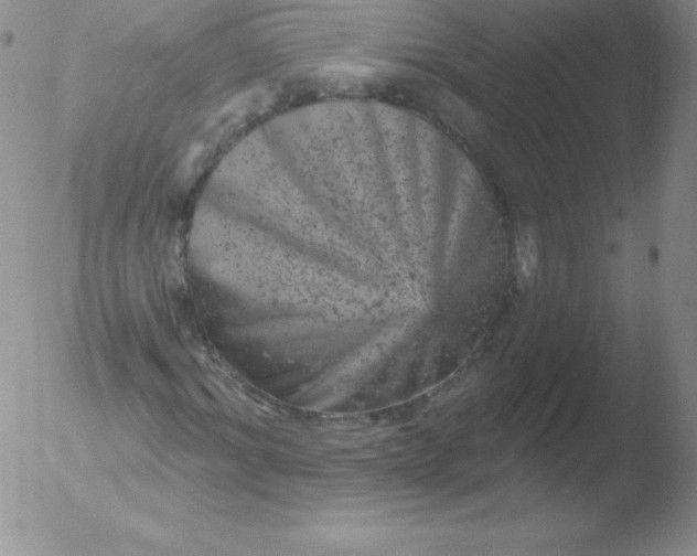 X0000051890964200507081935