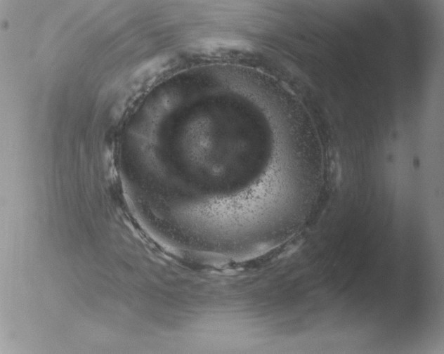 X0000051890965200507081934