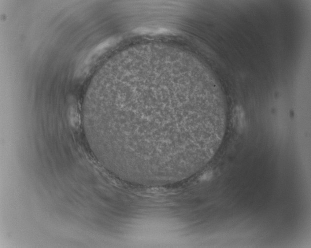 X0000051890966200507081934