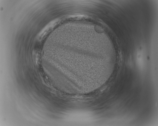 X0000051890967200507081934