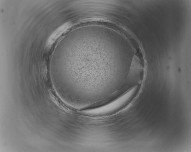 X0000051890969200507081934