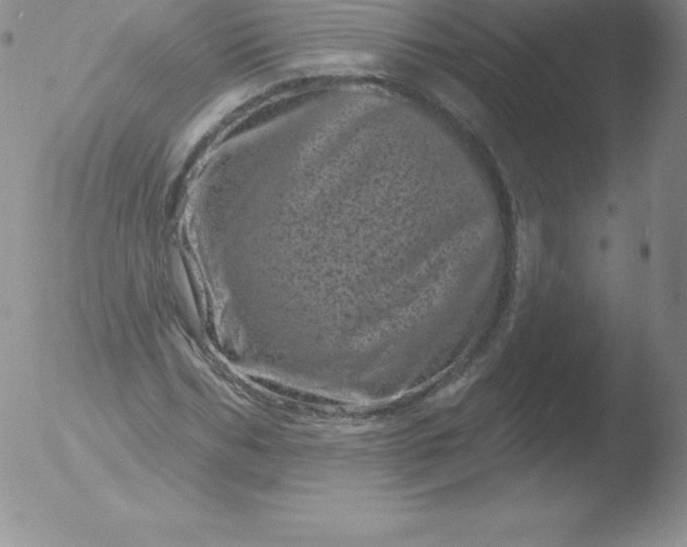 X0000051890970200507081934