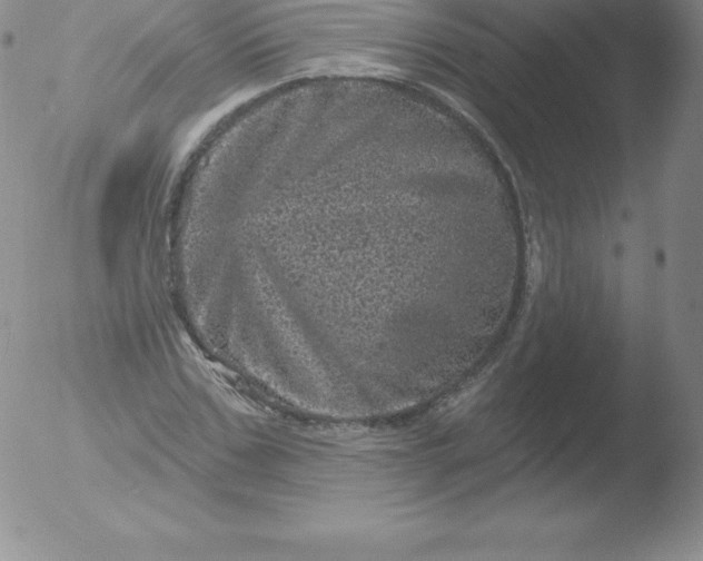 X0000051890971200507081934