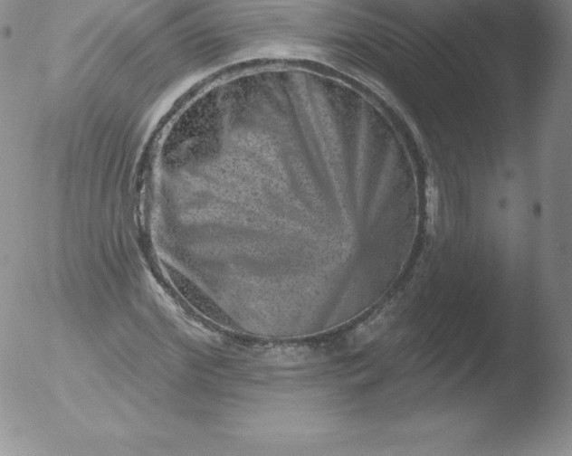 X0000051890972200507081934