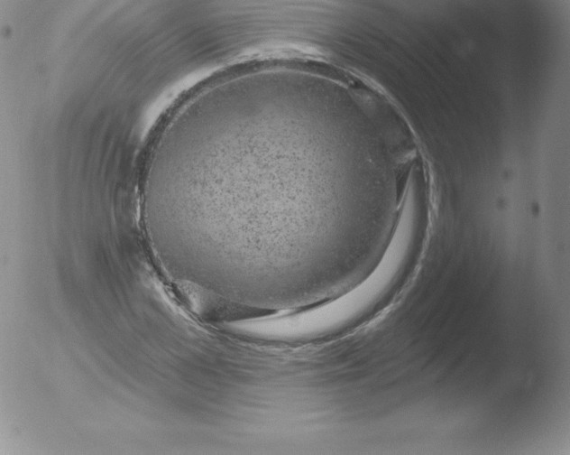 X0000051890973200507081934