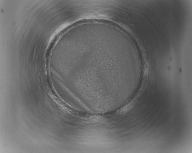 X0000051890974200507081934