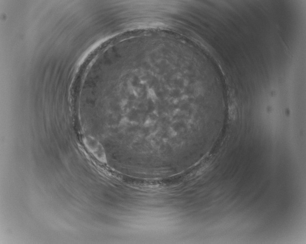 X0000051890975200507081934