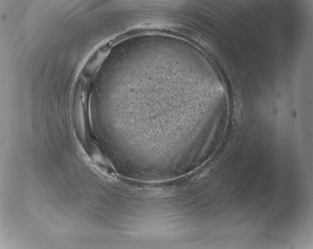 X0000051890976200507081934