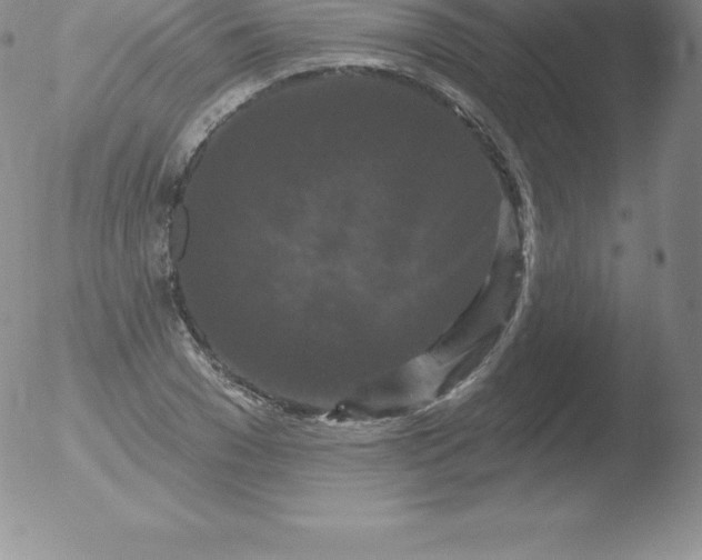 X0000051890977200507081934