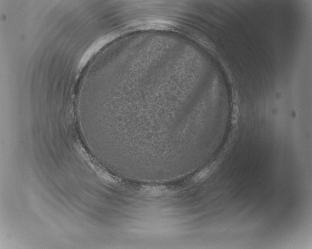 X0000051890978200507081934