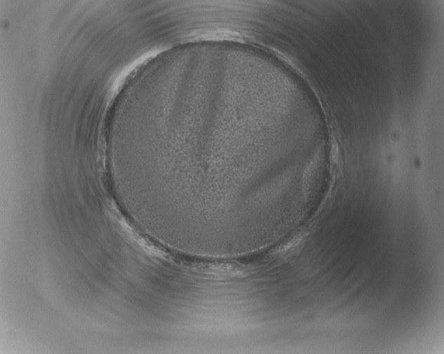 X0000051890979200507081934