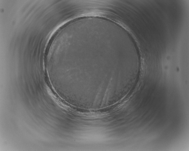 X0000051890980200507081934