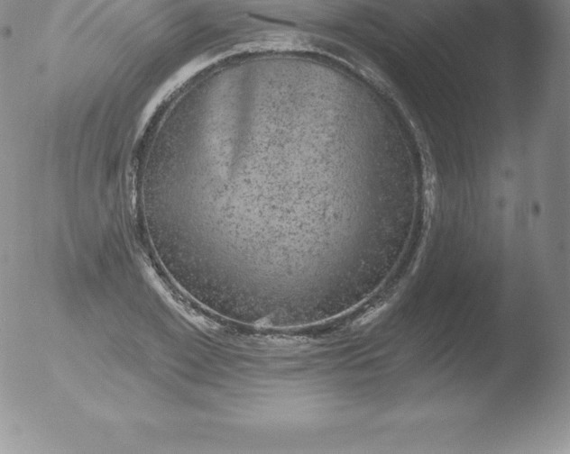 X0000051890981200507081934