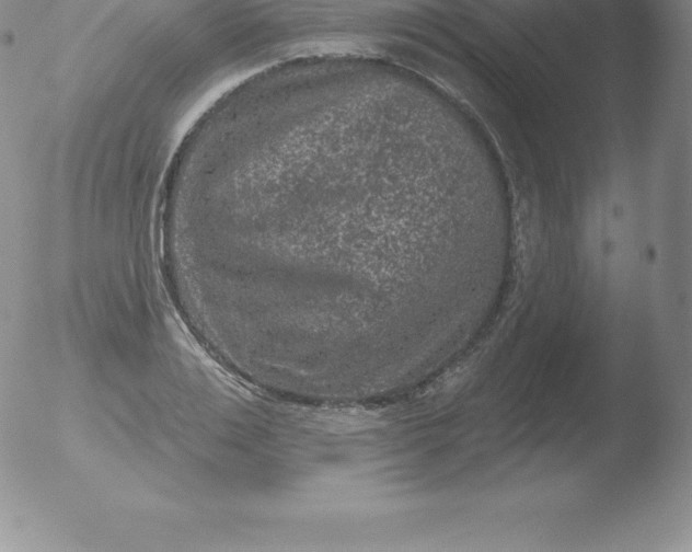 X0000051890983200507081934