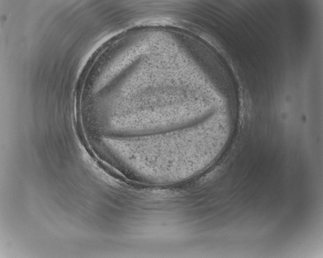 X0000051890984200507081934